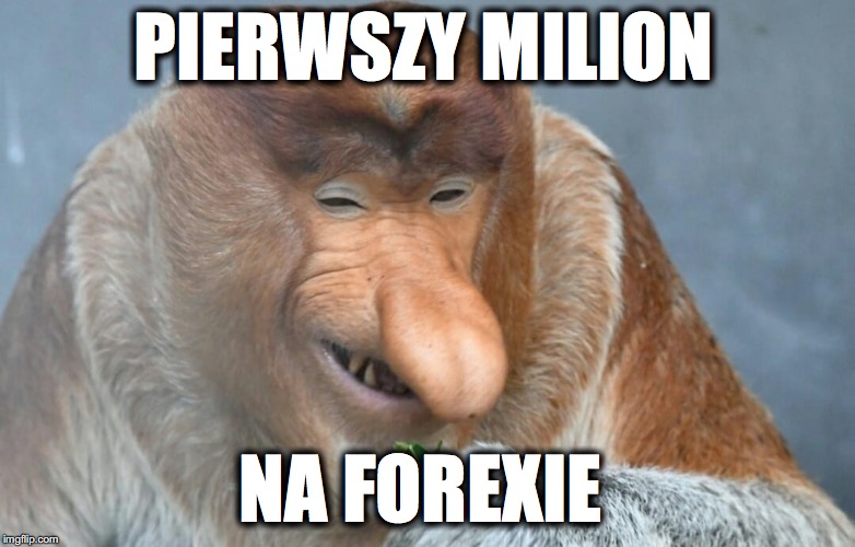 polak | PIERWSZY MILION; NA FOREXIE | image tagged in polak | made w/ Imgflip meme maker