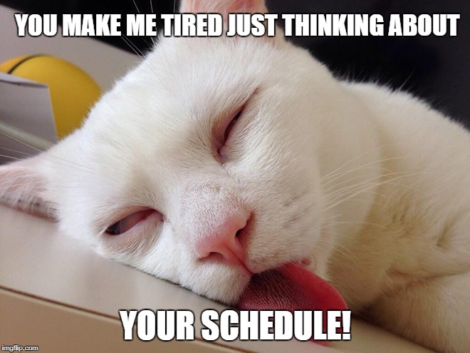 tired cat | YOU MAKE ME TIRED JUST THINKING ABOUT; YOUR SCHEDULE! | image tagged in tired cat | made w/ Imgflip meme maker