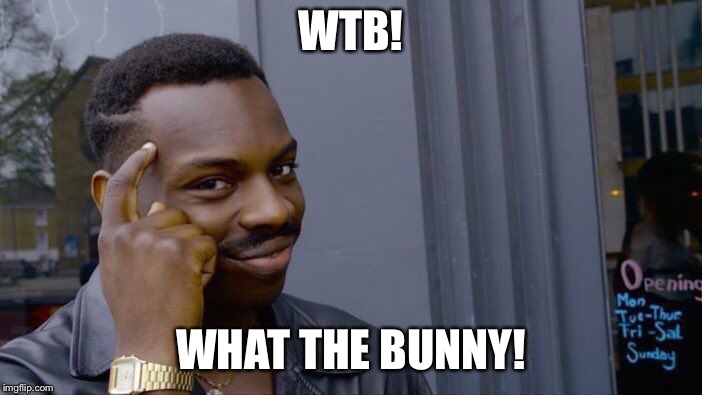 Roll Safe Think About It Meme | WTB! WHAT THE BUNNY! | image tagged in memes,roll safe think about it | made w/ Imgflip meme maker