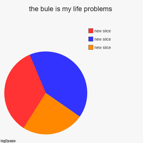 the bule is my life problems | | image tagged in funny,pie charts | made w/ Imgflip chart maker