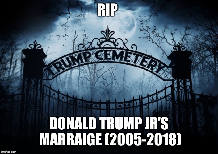 Rip Donald Trump jr’s marriage  | RIP; DONALD TRUMP JR’S MARRAIGE
(2005-2018) | image tagged in donald trump jr,vanessa trump,just divorced,donald trump | made w/ Imgflip meme maker