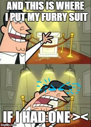 MAYBE NEXT XMAS ;) I WANT TO BE A FOX ^^ | AND THIS IS WHERE I PUT MY FURRY SUIT; IF I HAD ONE >< | image tagged in memes,this is where i'd put my trophy if i had one | made w/ Imgflip meme maker