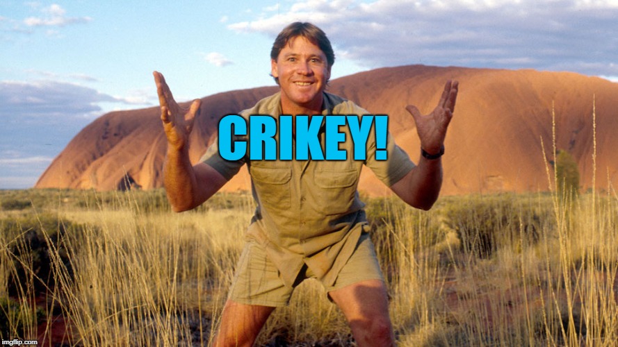 CRIKEY! | made w/ Imgflip meme maker
