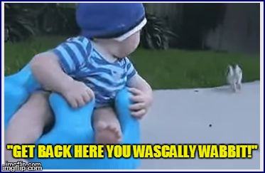 "GET BACK HERE YOU WASCALLY WABBIT!" | made w/ Imgflip meme maker