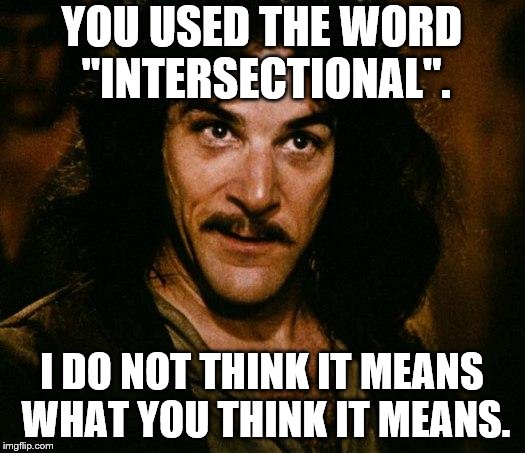 Inigo Montoya Meme | YOU USED THE WORD "INTERSECTIONAL". I DO NOT THINK IT MEANS WHAT YOU THINK IT MEANS. | image tagged in memes,inigo montoya | made w/ Imgflip meme maker