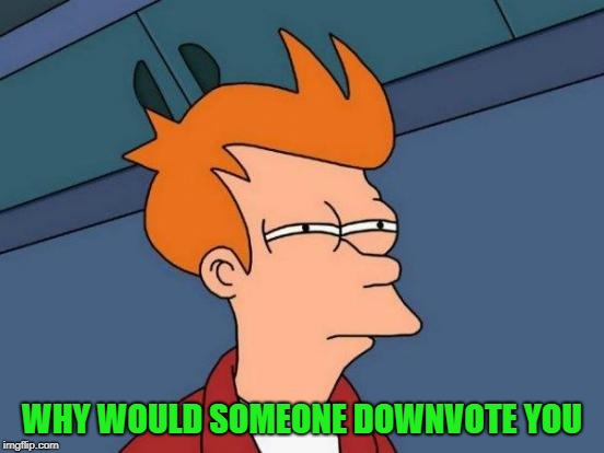 Futurama Fry Meme | WHY WOULD SOMEONE DOWNVOTE YOU | image tagged in memes,futurama fry | made w/ Imgflip meme maker