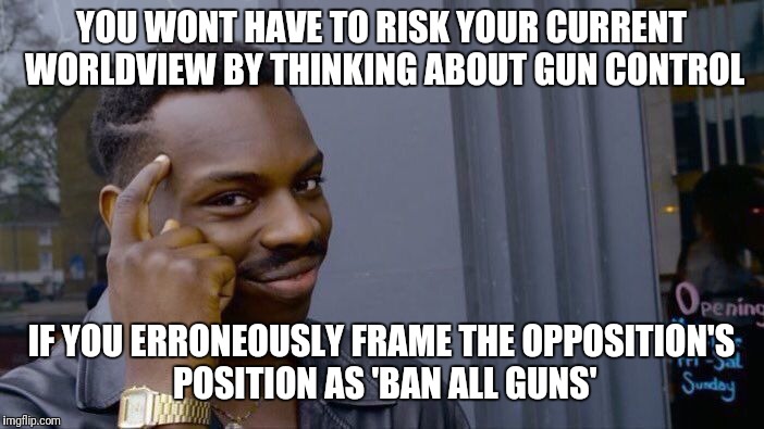 Roll Safe Think About It | YOU WONT HAVE TO RISK YOUR CURRENT WORLDVIEW BY THINKING ABOUT GUN CONTROL; IF YOU ERRONEOUSLY FRAME THE OPPOSITION'S POSITION AS 'BAN ALL GUNS' | image tagged in memes,roll safe think about it | made w/ Imgflip meme maker
