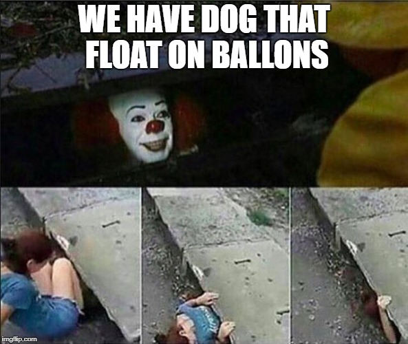 WE HAVE DOG THAT FLOAT ON BALLONS | made w/ Imgflip meme maker