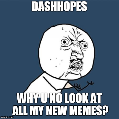 Y U No | DASHHOPES; WHY U NO LOOK AT ALL MY NEW MEMES? | image tagged in memes,y u no | made w/ Imgflip meme maker