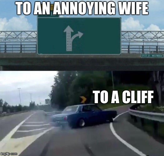 Left Exit 12 Off Ramp | TO AN ANNOYING WIFE; TO A CLIFF | image tagged in memes,left exit 12 off ramp | made w/ Imgflip meme maker