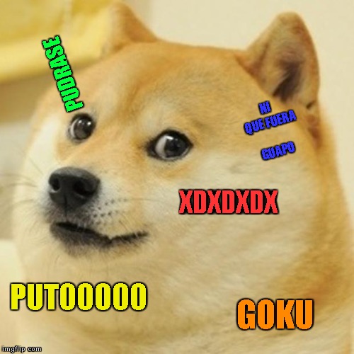 Doge Meme | PUDRASE; NI QUE FUERA GUAPO; XDXDXDX; PUTOOOOO; GOKU | image tagged in memes,doge | made w/ Imgflip meme maker