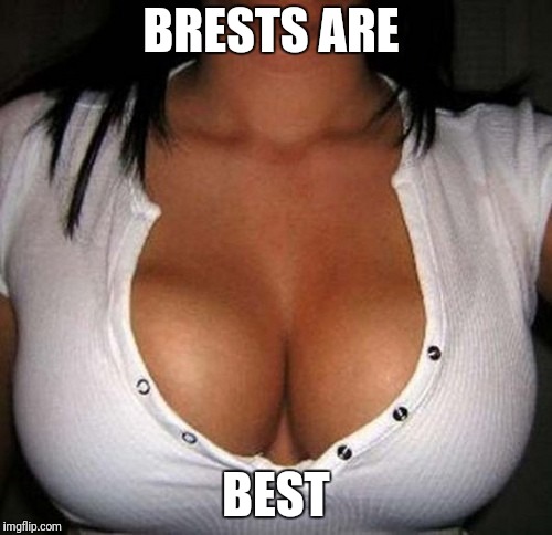 Nice tits  | BRESTS ARE; BEST | image tagged in titties | made w/ Imgflip meme maker