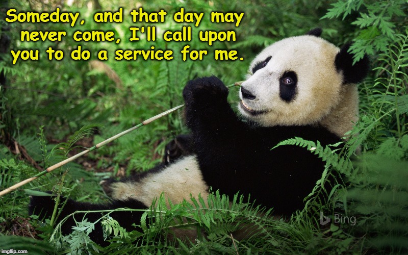 Panda Godfather | Someday, and that day may never come, I'll call upon you to do a service for me. | image tagged in the godfather,panda,pandas | made w/ Imgflip meme maker
