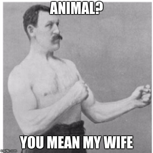 Overly Manly Man | ANIMAL? YOU MEAN MY WIFE | image tagged in memes,overly manly man | made w/ Imgflip meme maker