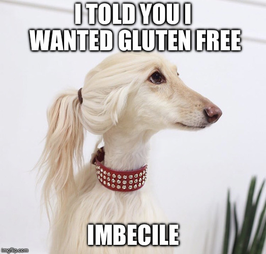 I TOLD YOU I WANTED GLUTEN FREE; IMBECILE | image tagged in snooty | made w/ Imgflip meme maker