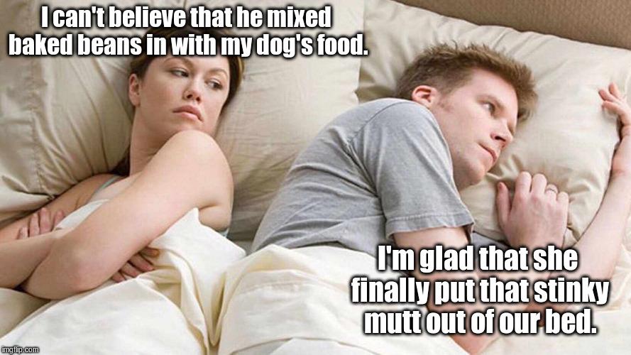 They named the dog Marty. | I can't believe that he mixed baked beans in with my dog's food. I'm glad that she finally put that stinky mutt out of our bed. | image tagged in i bet he's thinking about other women,memes,meme | made w/ Imgflip meme maker