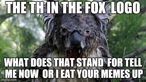 Angry Koala Meme | THE TH IN THE FOX  LOGO; WHAT DOES THAT STAND  FOR TELL ME NOW  OR I EAT YOUR MEMES UP | image tagged in memes,angry koala,meme,koala,funny koala,fox logo | made w/ Imgflip meme maker