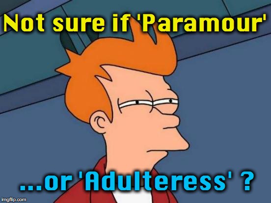 Futurama Fry Meme | Not sure if 'Paramour'; ...or 'Adulteress' ? | image tagged in memes,futurama fry | made w/ Imgflip meme maker