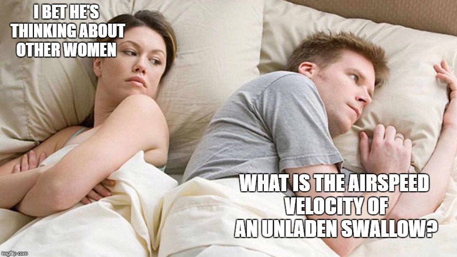 I Bet He's Thinking About Other Women Meme | I BET HE'S THINKING ABOUT OTHER WOMEN; WHAT IS THE AIRSPEED VELOCITY OF AN UNLADEN SWALLOW? | image tagged in i bet he's thinking about other women | made w/ Imgflip meme maker