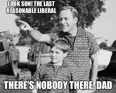 Look Son Meme | LOOK SON! THE LAST REASONABLE LIBERAL; THERE'S NOBODY THERE, DAD | image tagged in memes,look son | made w/ Imgflip meme maker