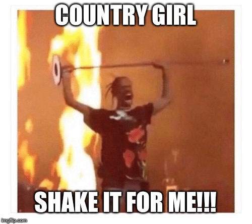 Travis Scott Concert  | COUNTRY GIRL; SHAKE IT FOR ME!!! | image tagged in travis scott concert | made w/ Imgflip meme maker