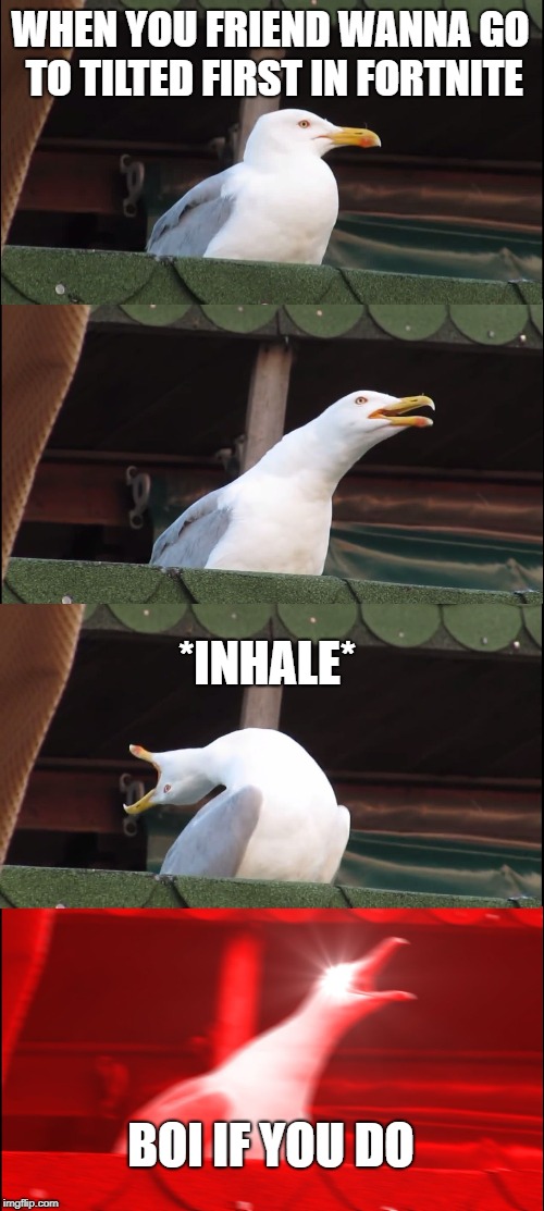 Inhaling Seagull Meme | WHEN YOU FRIEND WANNA GO TO TILTED FIRST IN FORTNITE; *INHALE*; BOI IF YOU DO | image tagged in memes,inhaling seagull | made w/ Imgflip meme maker
