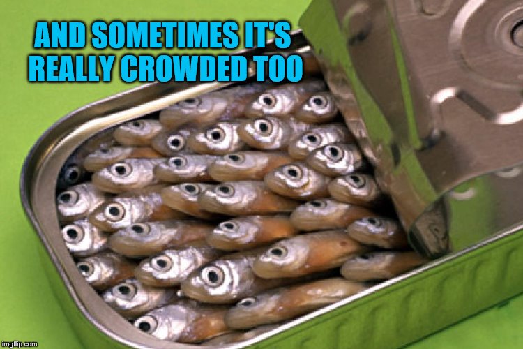 AND SOMETIMES IT'S REALLY CROWDED TOO | made w/ Imgflip meme maker