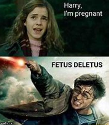 image tagged in harry potter,hermione granger | made w/ Imgflip meme maker