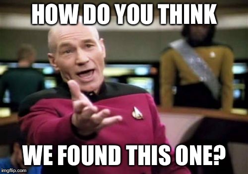 Picard Wtf Meme | HOW DO YOU THINK WE FOUND THIS ONE? | image tagged in memes,picard wtf | made w/ Imgflip meme maker