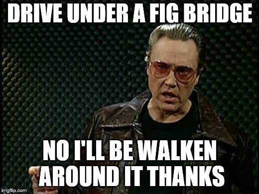 DRIVE UNDER A FIG BRIDGE NO I'LL BE WALKEN AROUND IT THANKS | made w/ Imgflip meme maker