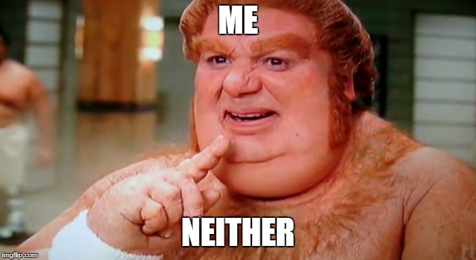 fat | ME NEITHER | image tagged in fat | made w/ Imgflip meme maker