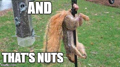 nuts | AND THAT'S NUTS | image tagged in nuts | made w/ Imgflip meme maker