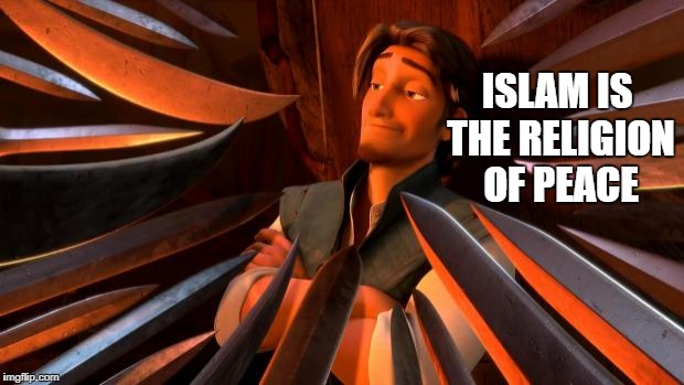 Voicing Your Pro-Islam Opinion Be Like |  ISLAM IS THE RELIGION OF PEACE | image tagged in flynn rider swords,islam,religion of peace,unpopular opinion flynn | made w/ Imgflip meme maker