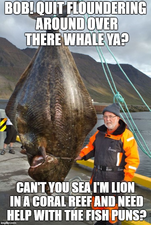 Fish Puns | BOB! QUIT FLOUNDERING AROUND OVER THERE WHALE YA? CAN'T YOU SEA I'M LION IN A CORAL REEF AND NEED HELP WITH THE FISH PUNS? | image tagged in fish puns | made w/ Imgflip meme maker