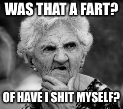confused old lady | WAS THAT A FART? OF HAVE I SHIT MYSELF? | image tagged in confused old lady | made w/ Imgflip meme maker