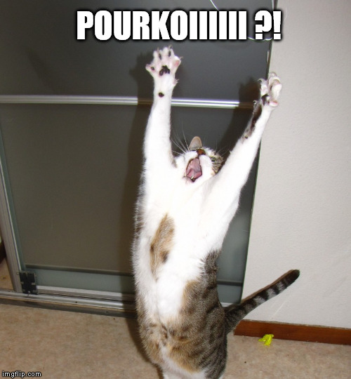 POURKOIIIIII ?! | made w/ Imgflip meme maker