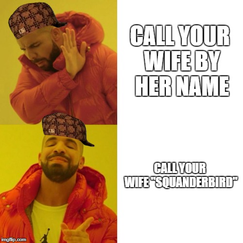 Drake Blank | CALL YOUR WIFE BY HER NAME; CALL YOUR WIFE "SQUANDERBIRD" | image tagged in drake blank,scumbag | made w/ Imgflip meme maker