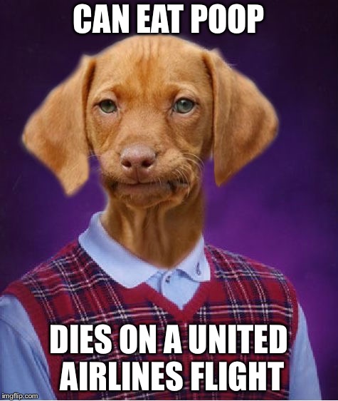 Bad Luck Raydog | CAN EAT POOP; DIES ON A UNITED AIRLINES FLIGHT | image tagged in bad luck raydog | made w/ Imgflip meme maker