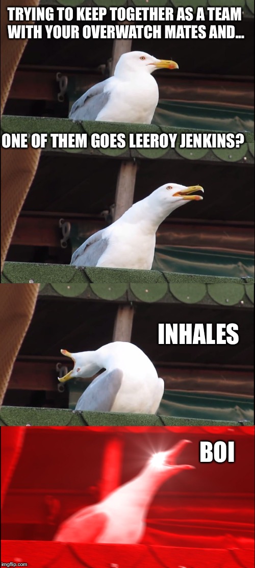 Inhaling Seagull Meme | TRYING TO KEEP TOGETHER AS A TEAM WITH YOUR OVERWATCH MATES AND... ONE OF THEM GOES LEEROY JENKINS? INHALES; BOI | image tagged in memes,inhaling seagull,overwatch | made w/ Imgflip meme maker