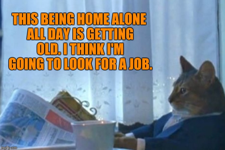 THIS BEING HOME ALONE ALL DAY IS GETTING OLD. I THINK I'M GOING TO LOOK FOR A JOB. | made w/ Imgflip meme maker