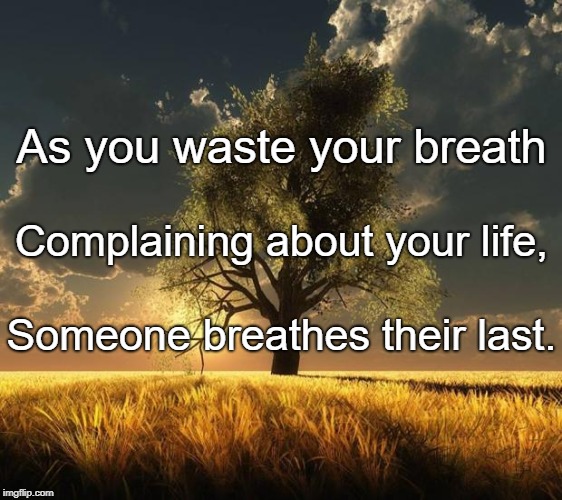 Tree of Life | As you waste your breath; Complaining about your life, Someone breathes their last. | image tagged in tree of life | made w/ Imgflip meme maker