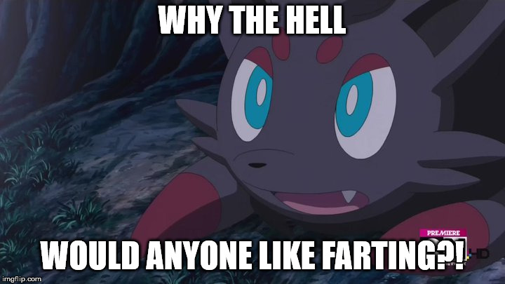 I hate this when people do this... | WHY THE HELL; WOULD ANYONE LIKE FARTING?! | image tagged in zorua wtf | made w/ Imgflip meme maker