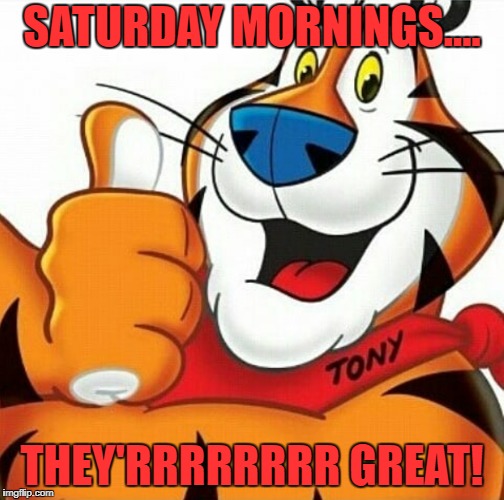SATURDAY MORNINGS.... THEY'RRRRRRRR GREAT! | image tagged in saturday | made w/ Imgflip meme maker