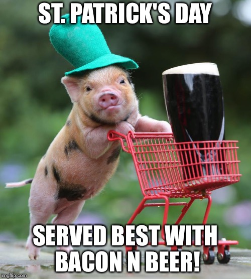 St. Patrick's Pig | ST. PATRICK'S DAY; SERVED BEST WITH BACON N BEER! | image tagged in st patrick's pig | made w/ Imgflip meme maker