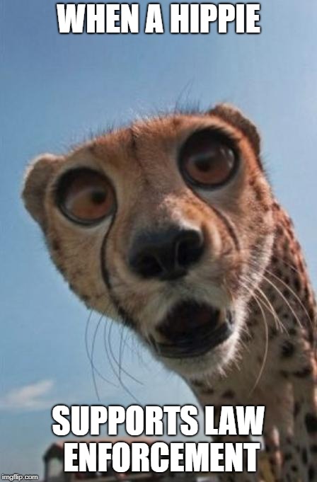 shocked cheetah | WHEN A HIPPIE; SUPPORTS LAW ENFORCEMENT | image tagged in shocked cheetah | made w/ Imgflip meme maker