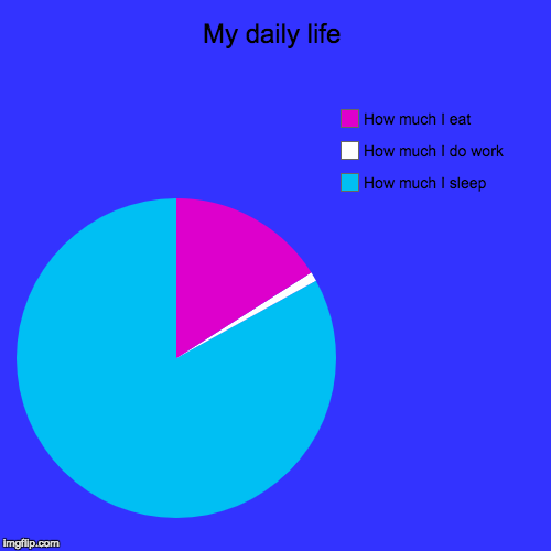 My daily life | How much I sleep, How much I do work, How much I eat | image tagged in funny,pie charts | made w/ Imgflip chart maker