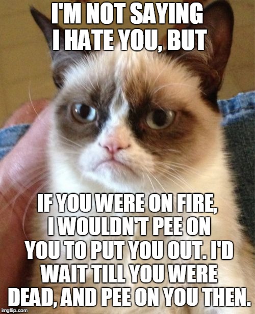 Today's show is brought to you by the number 911, and the letters U and P. | I'M NOT SAYING I HATE YOU, BUT; IF YOU WERE ON FIRE, I WOULDN'T PEE ON YOU TO PUT YOU OUT. I'D WAIT TILL YOU WERE DEAD, AND PEE ON YOU THEN. | image tagged in memes,grumpy cat,grumpy cat insults,sesame street,first aid,love trumps hate | made w/ Imgflip meme maker