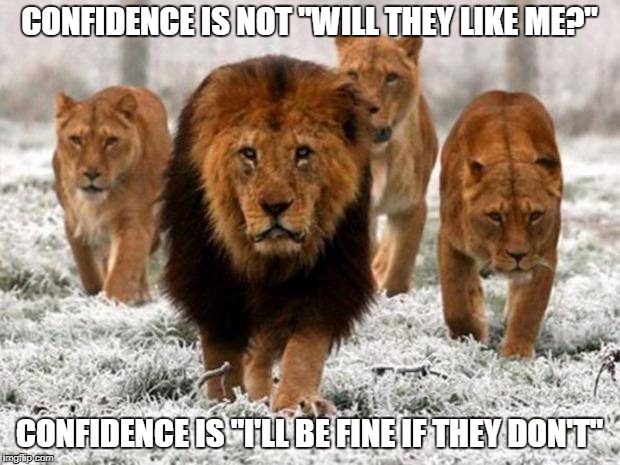 CONFIDENCE IS NOT "WILL THEY LIKE ME?"; CONFIDENCE IS "I'LL BE FINE IF THEY DON'T" | image tagged in confidence | made w/ Imgflip meme maker