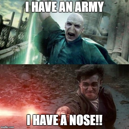 Harry Potter meme | I HAVE AN ARMY; I HAVE A NOSE!! | image tagged in harry potter meme | made w/ Imgflip meme maker
