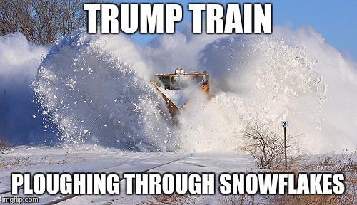 TRUMP TRAIN; PLOUGHING THROUGH SNOWFLAKES | image tagged in trump train ploughing through snowflakes | made w/ Imgflip meme maker
